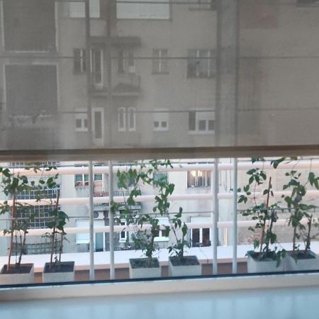Artissimo Roofterace Apartment Загреб Екстериор снимка