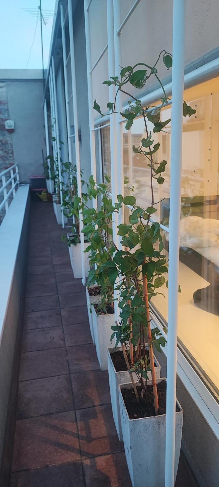 Artissimo Roofterace Apartment Загреб Екстериор снимка
